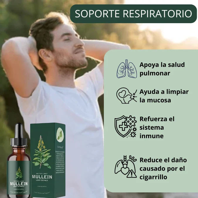 Gotas Gordolobo + Clorofila — Desintoxicación Pulmonar Natural 🌿🫁