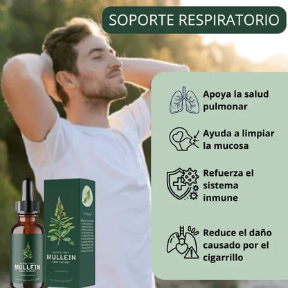 Gotas Gordolobo + Clorofila — Desintoxicación Pulmonar Natural 🌿🫁