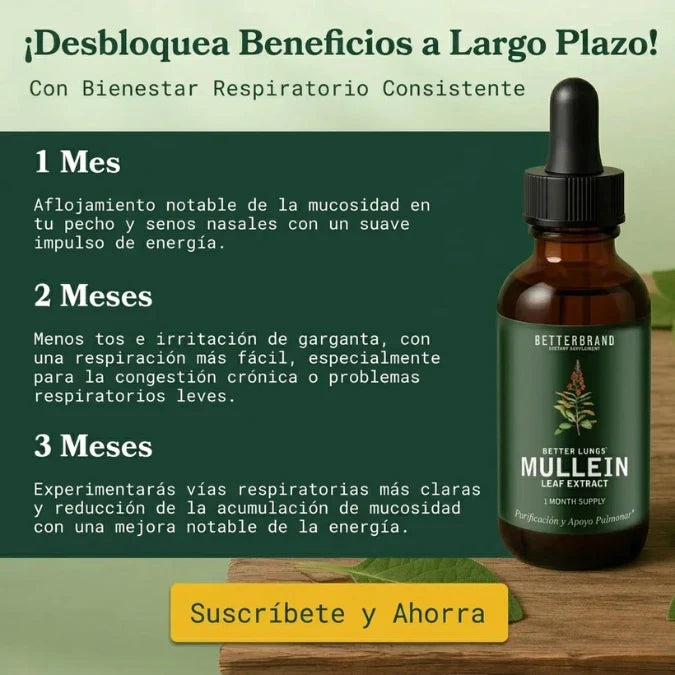 Gotas Gordolobo + Clorofila — Desintoxicación Pulmonar Natural 🌿🫁