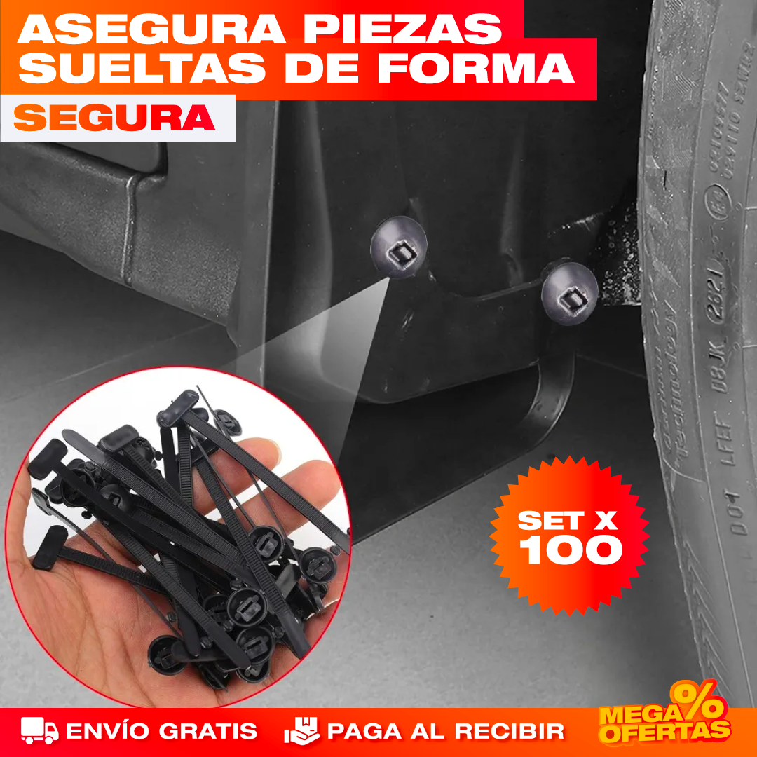 🔧 Cinchos, grapas de carrocería 🚗 Universal para cualquier carro | PAGA 50 LLEVA 100