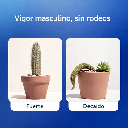 Wideawake – Energía, Enfoque y Vitalidad Masculina + Envío Gratis!